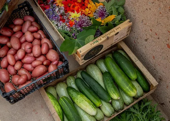Mylos - Cargese, Piscine Interieure Et Exterieure 4*